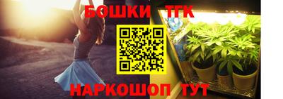 прущие крисы Новозыбков