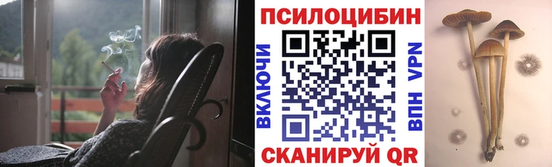 Псилоцибиновые грибы Magic Shrooms Ялуторовск