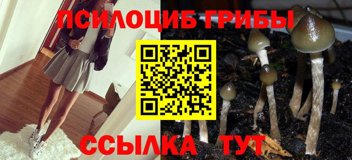 цены   Галлюциногенные грибы MAGIC MUSHROOMS  Вход с VPN  Ялуторовск 