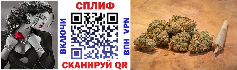 Бошки Шишки семена Ялуторовск